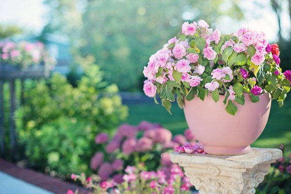Spa discount : économisez sur votre oasis de détente aujourd'hui