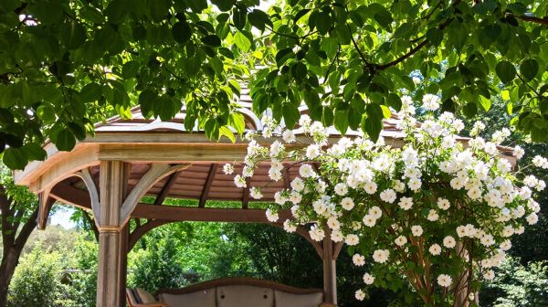 Top critères pour sélectionner l'abri de jardin idéal