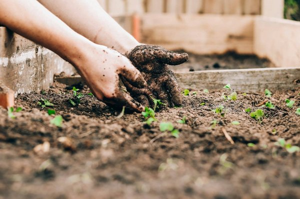 Les secrets d'un jardinage sans effort : Découvrez les outils révolutionnaires pour préparer votre sol !